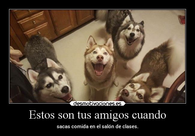 Estos son tus amigos cuando - sacas comida en el salón de clases.