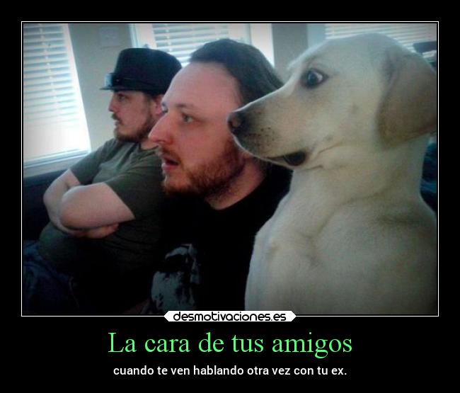 La cara de tus amigos - cuando te ven hablando otra vez con tu ex.