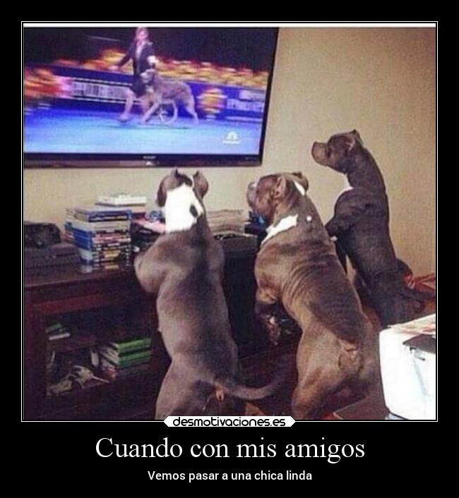 Cuando con mis amigos - Vemos pasar a una chica linda