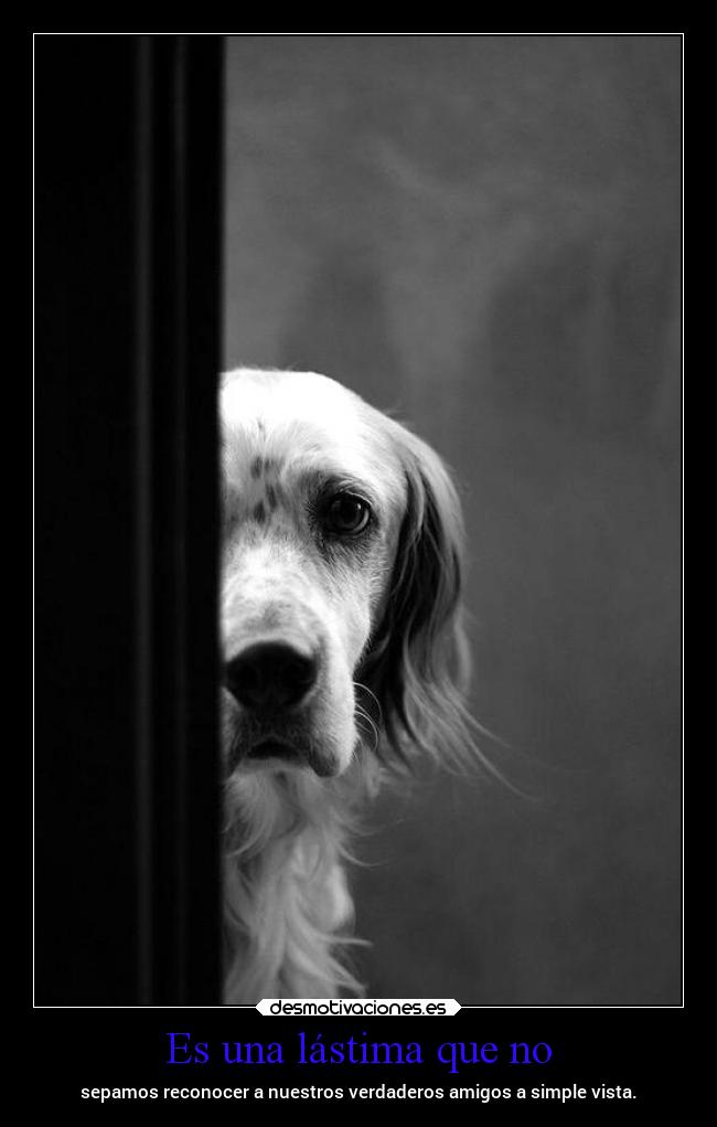 carteles amistad amigos vida telodedicoprincesasiempreseretuya mels teextrano teamo minina dondequieraqueeste desmotivaciones