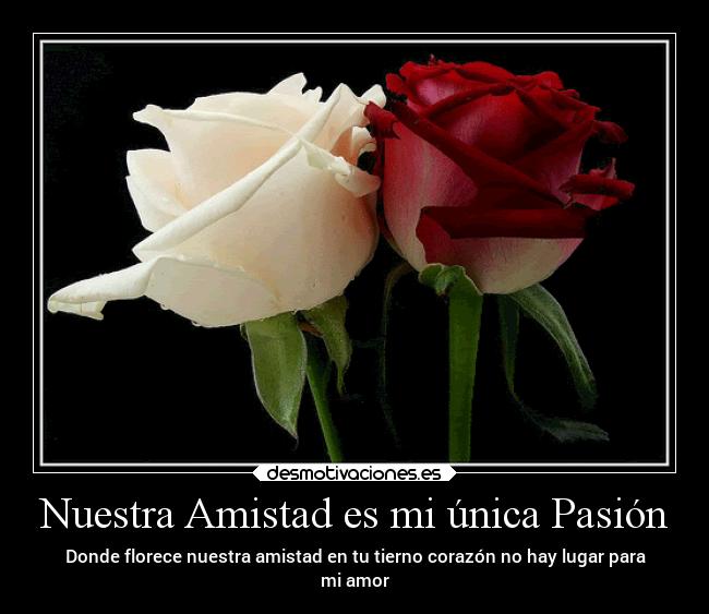 carteles amistad amor prohibido desmotivaciones