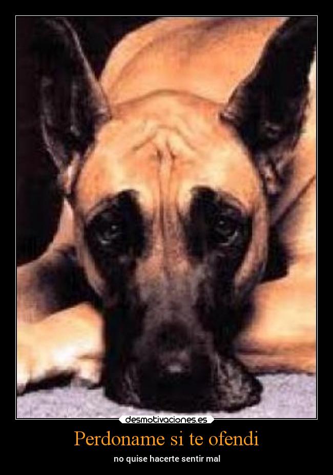 Perdoname si te ofendi -