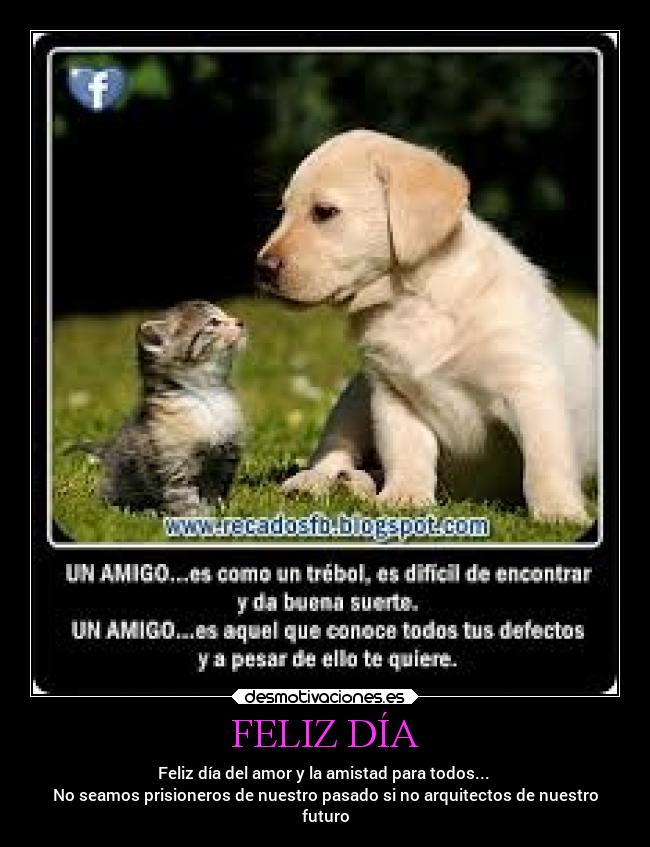 carteles amistad desmotivaciones