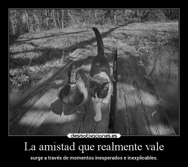 La amistad que realmente vale - surge a través de momentos inesperados e inexplicables.