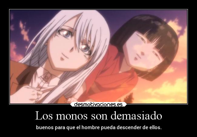 Los monos son demasiado -