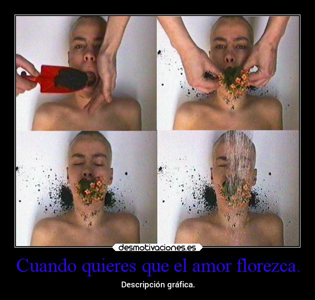 Cuando quieres que el amor florezca. -