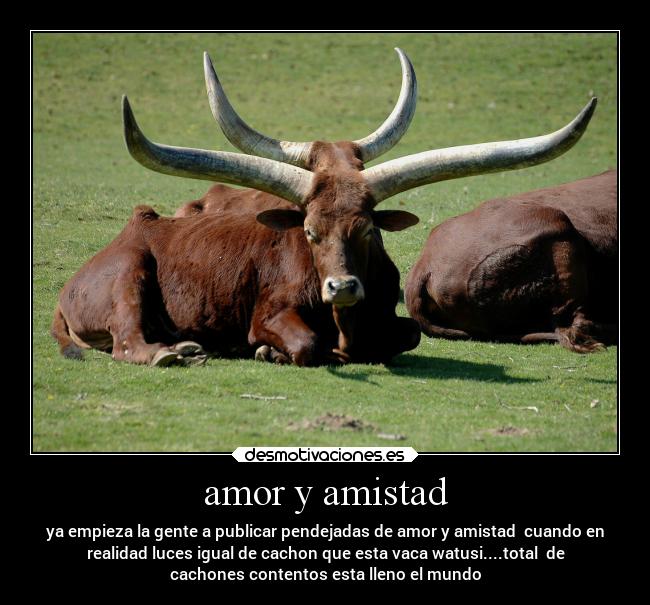 carteles amor amistad desamor desmotivaciones