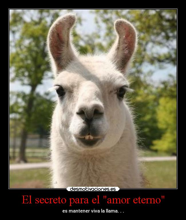 El secreto para el amor eterno -