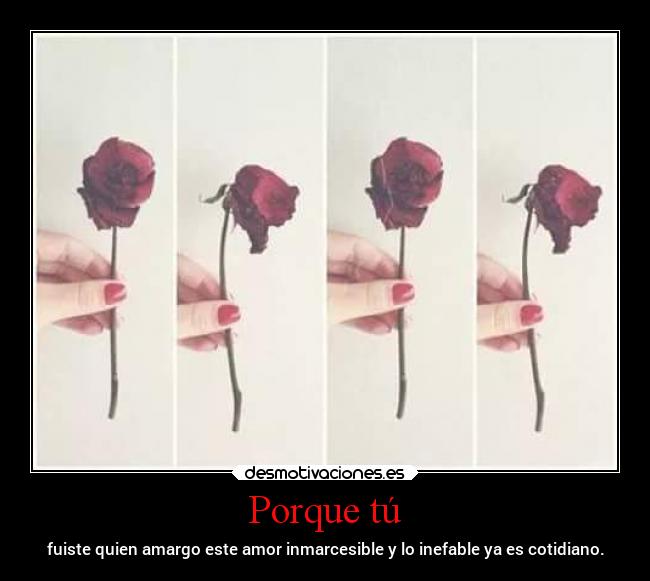 Porque tú - fuiste quien amargo este amor inmarcesible y lo inefable ya es cotidiano.