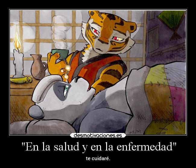 carteles amor kung panda kungfupanda poytigresa tigresa pxt locuras enfermedad desmotivaciones