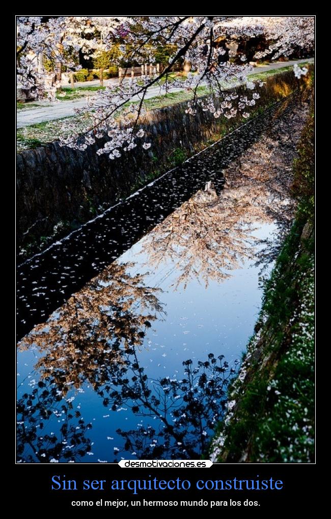 carteles amor maxwell desmotivaciones