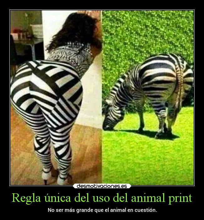 Regla única del uso del animal print -