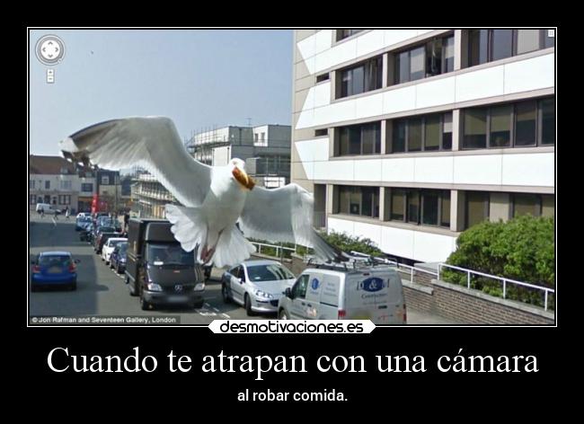 Cuando te atrapan con una cámara -