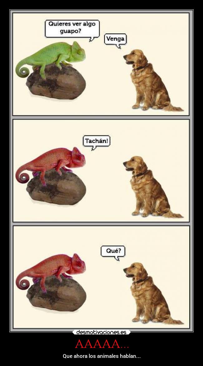 AAAAA... - Que ahora los animales hablan...