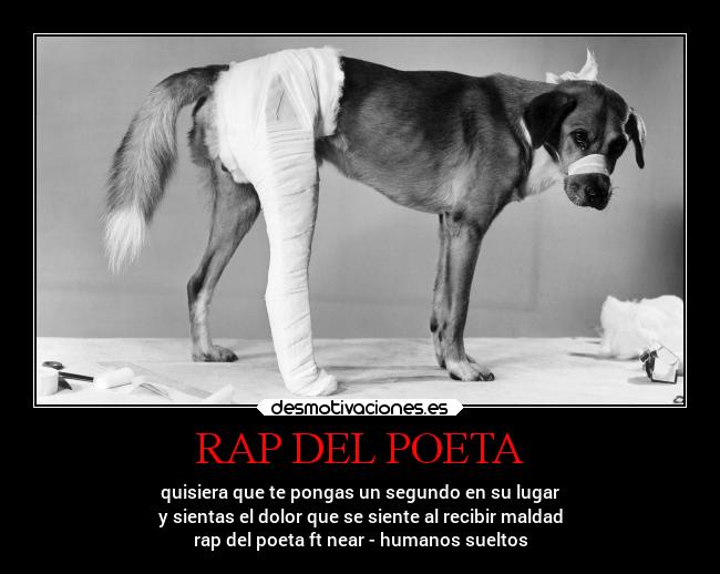 carteles animales desmotivaciones