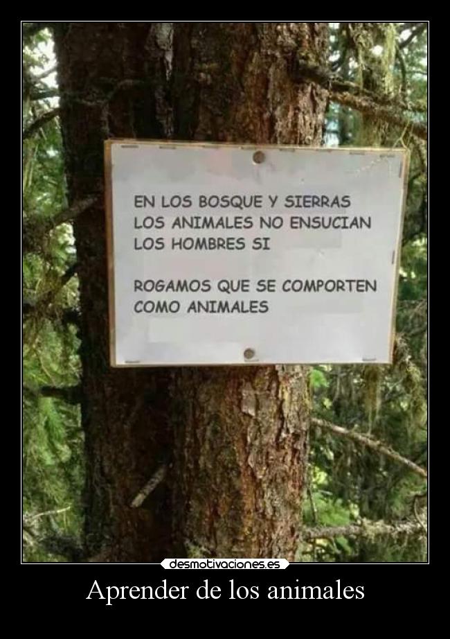 Aprender de los animales - 