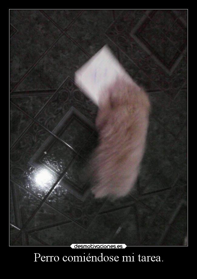 Perro comiéndose mi tarea. -