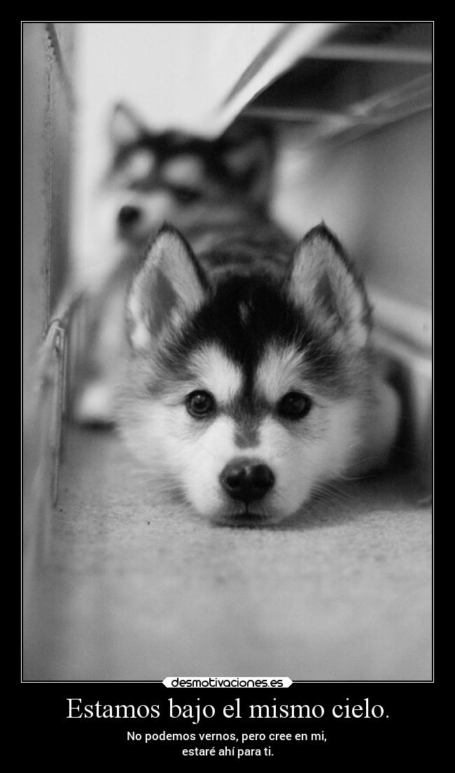 Estamos bajo el mismo cielo. -