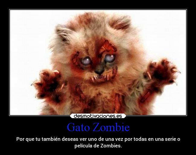Gato Zombie - Por que tu también deseas ver uno de una vez por todas en una serie o
película de Zombies.