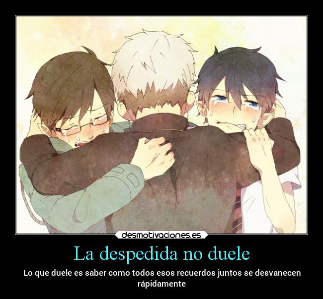 La despedida no duele - Lo que duele es saber como todos esos recuerdos juntos se desvanecen
rápidamente