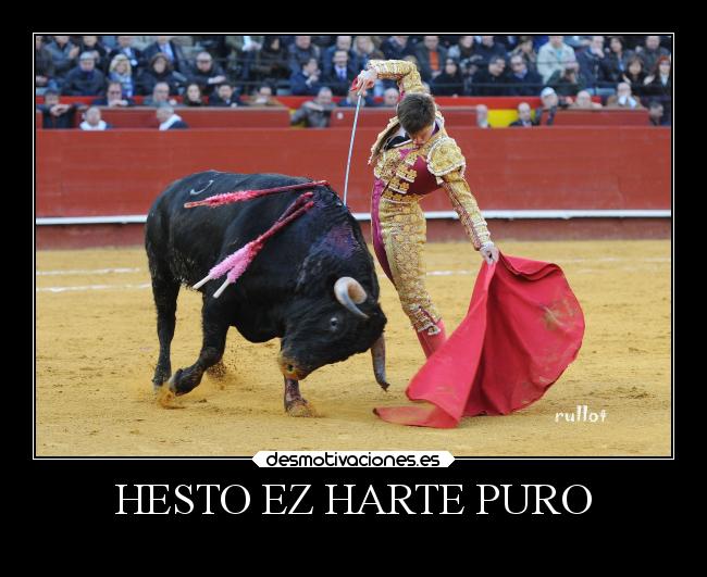 HESTO EZ HARTE PURO - 
