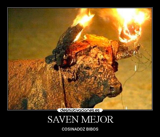 SAVEN MEJOR - COSINADOZ BIBOS