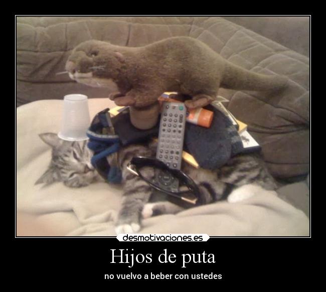 Hijos de puta - no vuelvo a beber con ustedes
