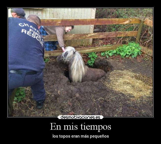 En mis tiempos - los topos eran más pequeños