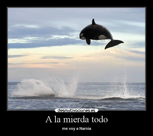 A la mierda todo - me voy a Narnia