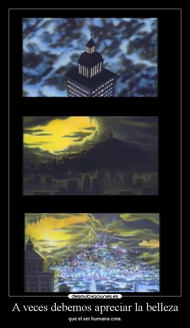 A veces debemos apreciar la belleza - 