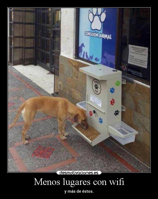 carteles ayuda animales perros abandonados cuidados agua pienso luegoexistovaleno wifi clanpatosos rilacs desmotivaciones