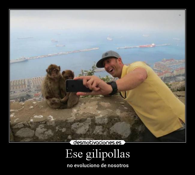 Ese gilipollas - no evoluciono de nosotros