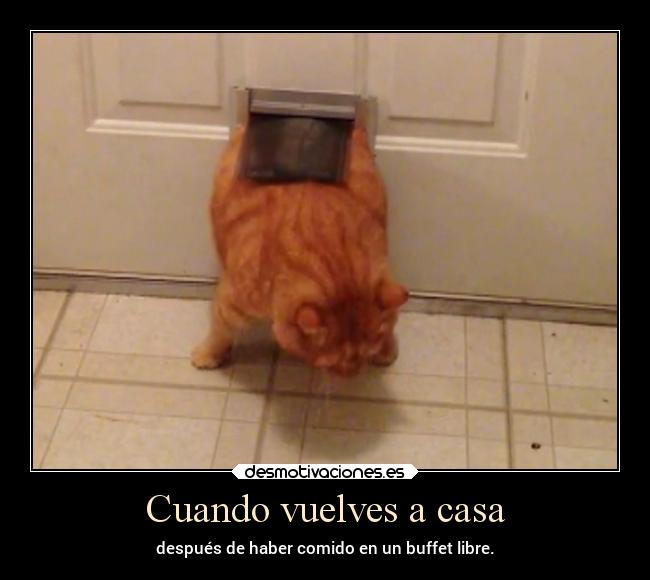 Cuando vuelves a casa -