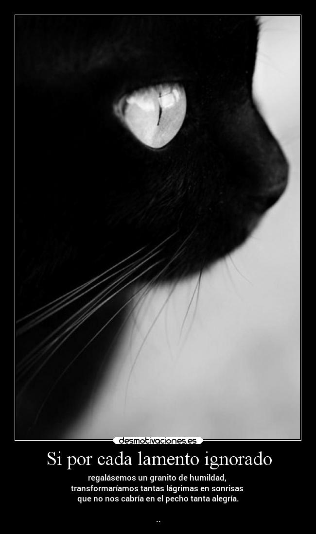Si por cada lamento ignorado -