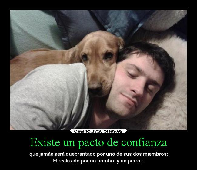 Existe un pacto de confianza - que jamás será quebrantado por uno de sus dos miembros:
El realizado por un hombre y un perro...