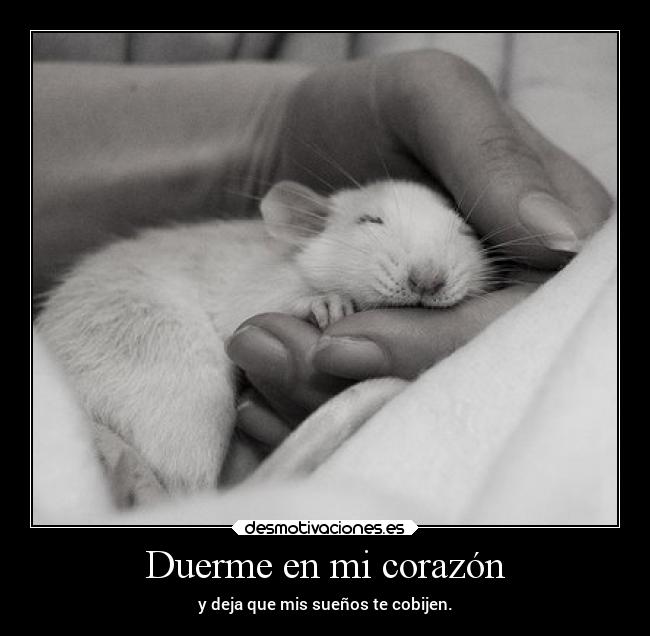 carteles corazon alegria elchicodeayer sagu jeje saguvacilona lamasmalotahaha desmotivaciones