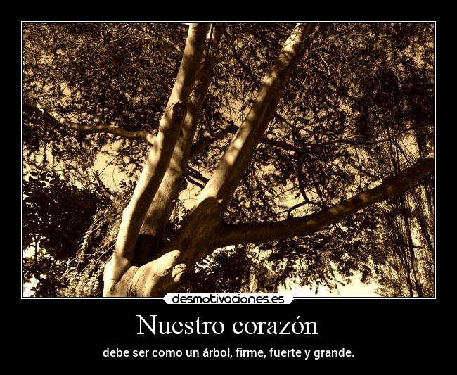 Nuestro corazón - debe ser como un árbol, firme, fuerte y grande.