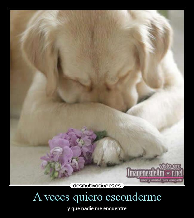 A veces quiero esconderme - 