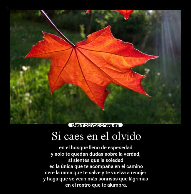Si caes en el olvido -