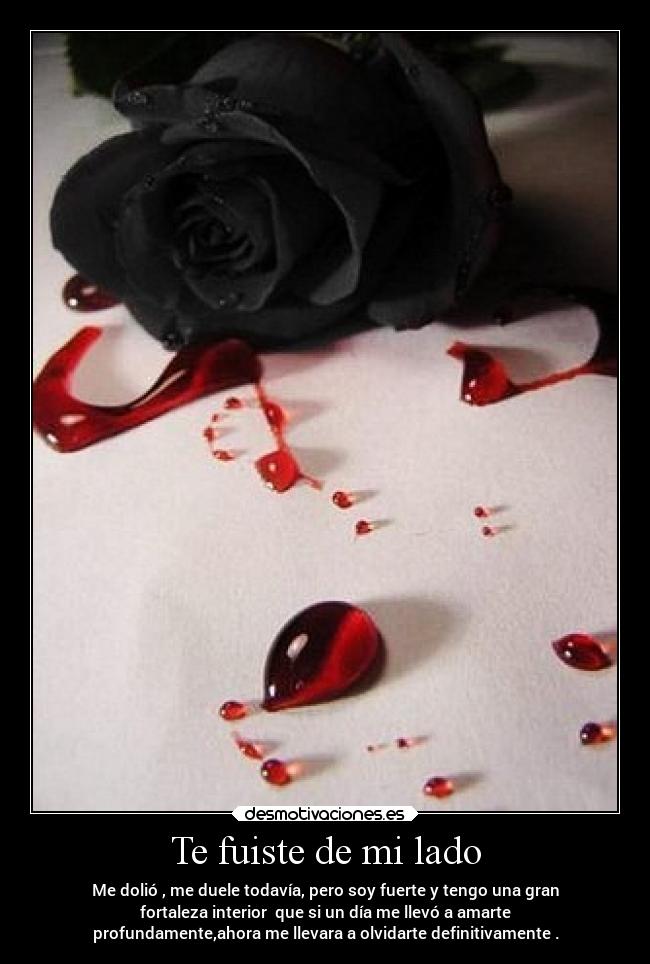 Te fuiste de mi lado - 