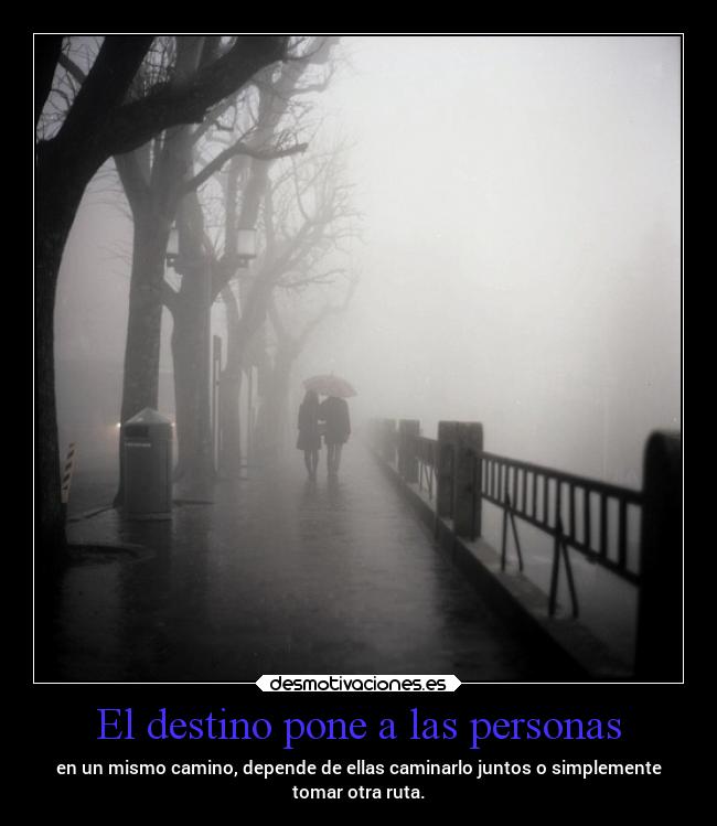 carteles destino desamor amor sociedad destino caminos desmotivaciones