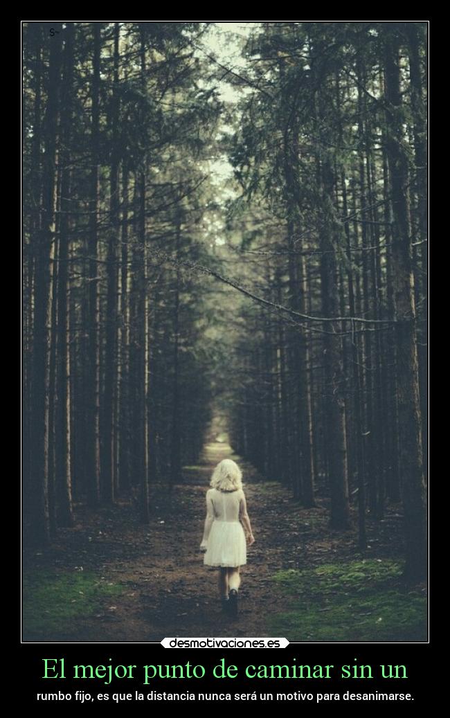 carteles distancia mundo caminos bosque rumbo motivo desanimo clanpatosos rilacs desmotivaciones