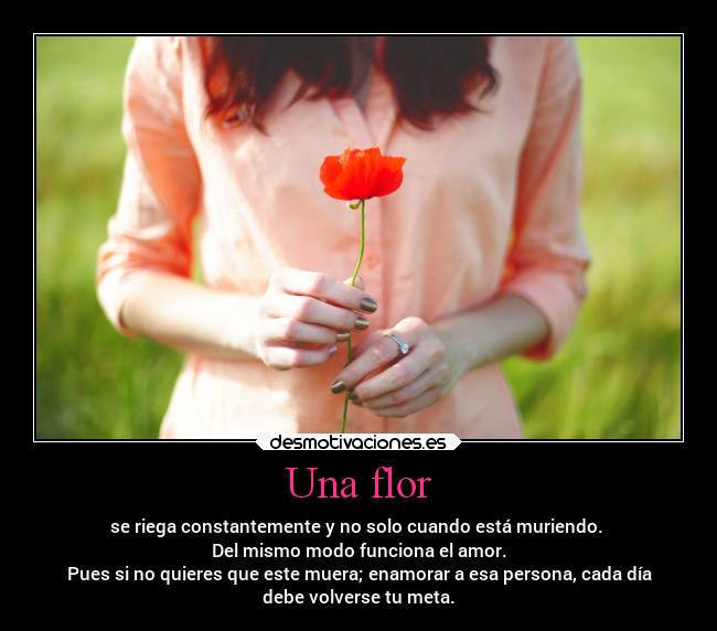 Una flor - 