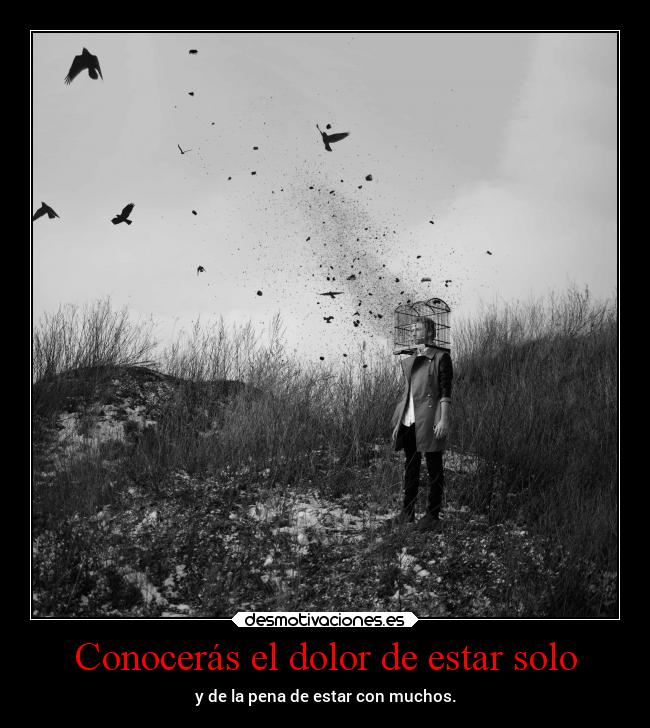 Conocerás el dolor de estar solo -