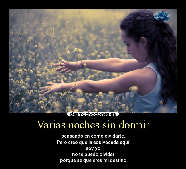 Varias noches sin dormir - pensando en como olvidarte.
Pero creo que la equivocada aquí
soy yo
no te puedo olvidar
porque se que eres mi destino