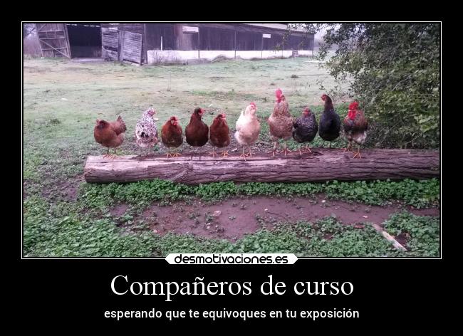 Compañeros de curso - 