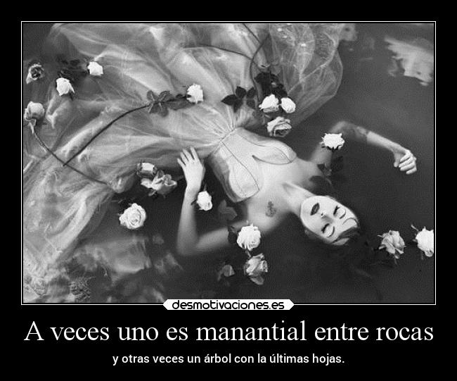 A veces uno es manantial entre rocas -
