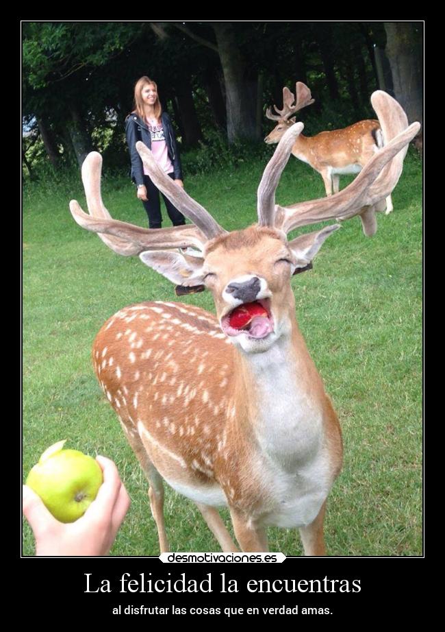 La felicidad la encuentras - al disfrutar las cosas que en verdad amas.