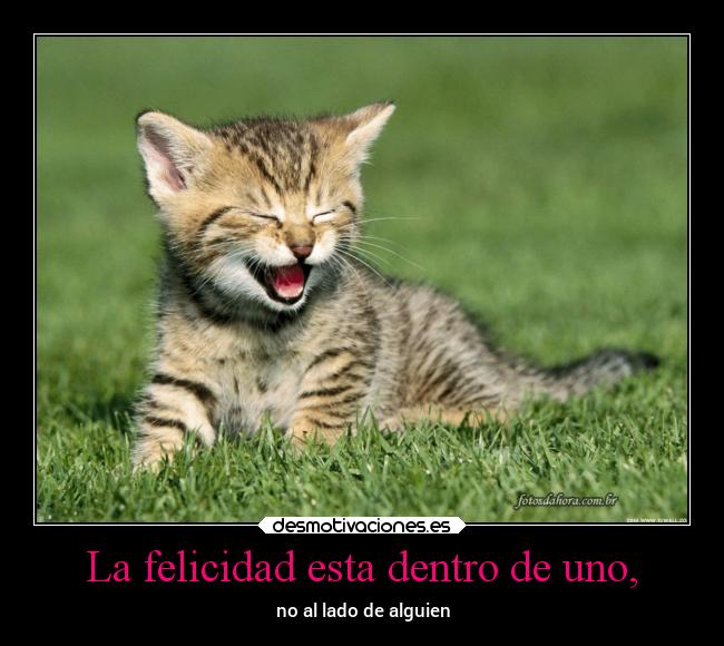 carteles felicidad gatos alegria felizidad walt desmotivaciones