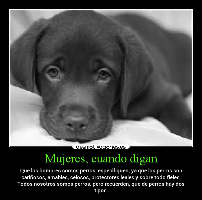 Mujeres, cuando digan - Que los hombres somos perros, especifiquen, ya que los perros son
cariñosos, amables, celosos, protectores leales y sobre todo fieles.
Todos nosotros somos perros, pero recuerden, que de perros hay dos
tipos.